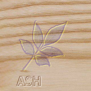 A ash leaf engraved on a piece of wood.